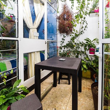 Casa Itzae B&B Polanquito Dog Friendly Mexico City Luaran gambar