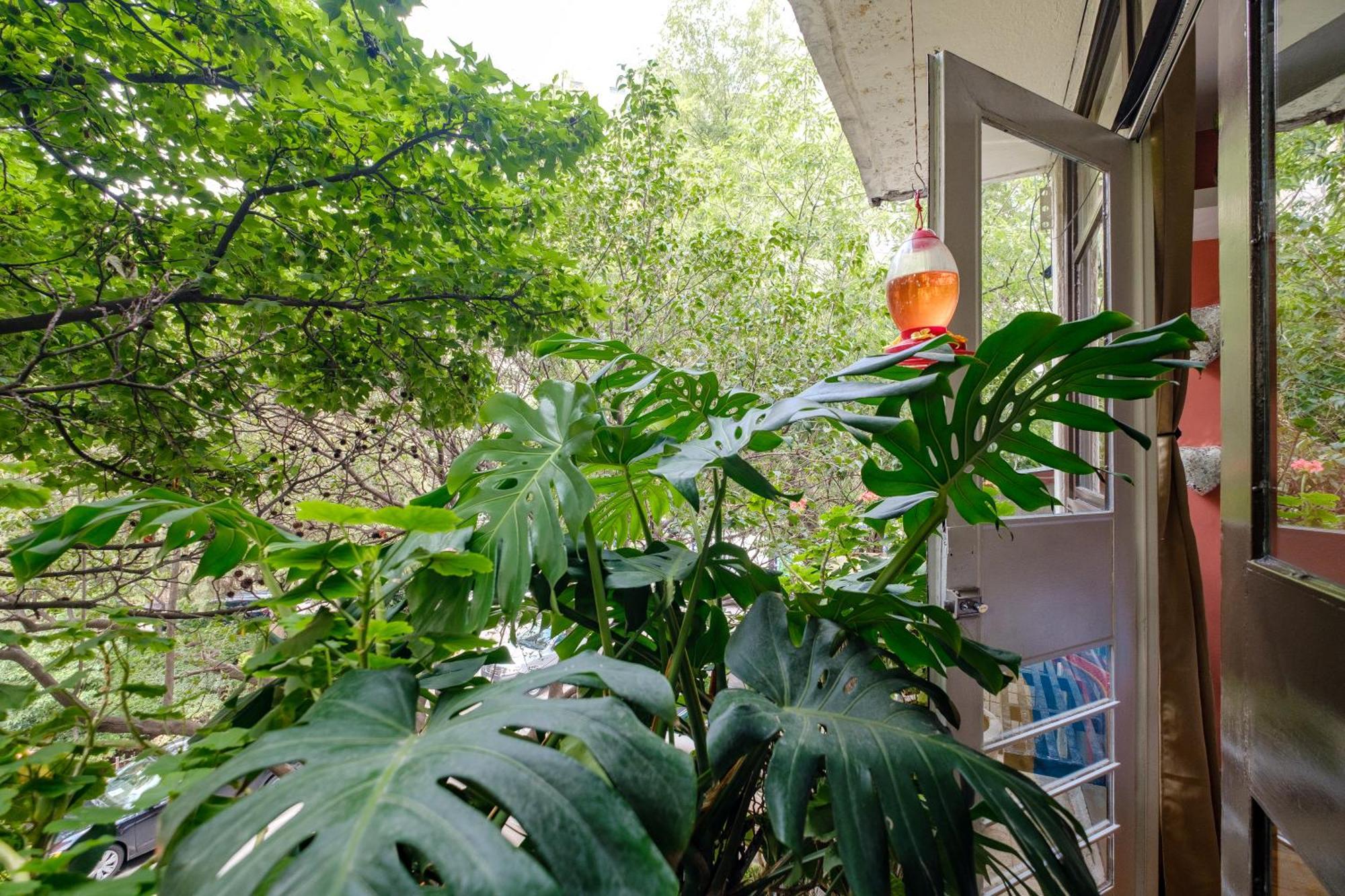 Casa Itzae B&B Polanquito Dog Friendly Mexico City Luaran gambar