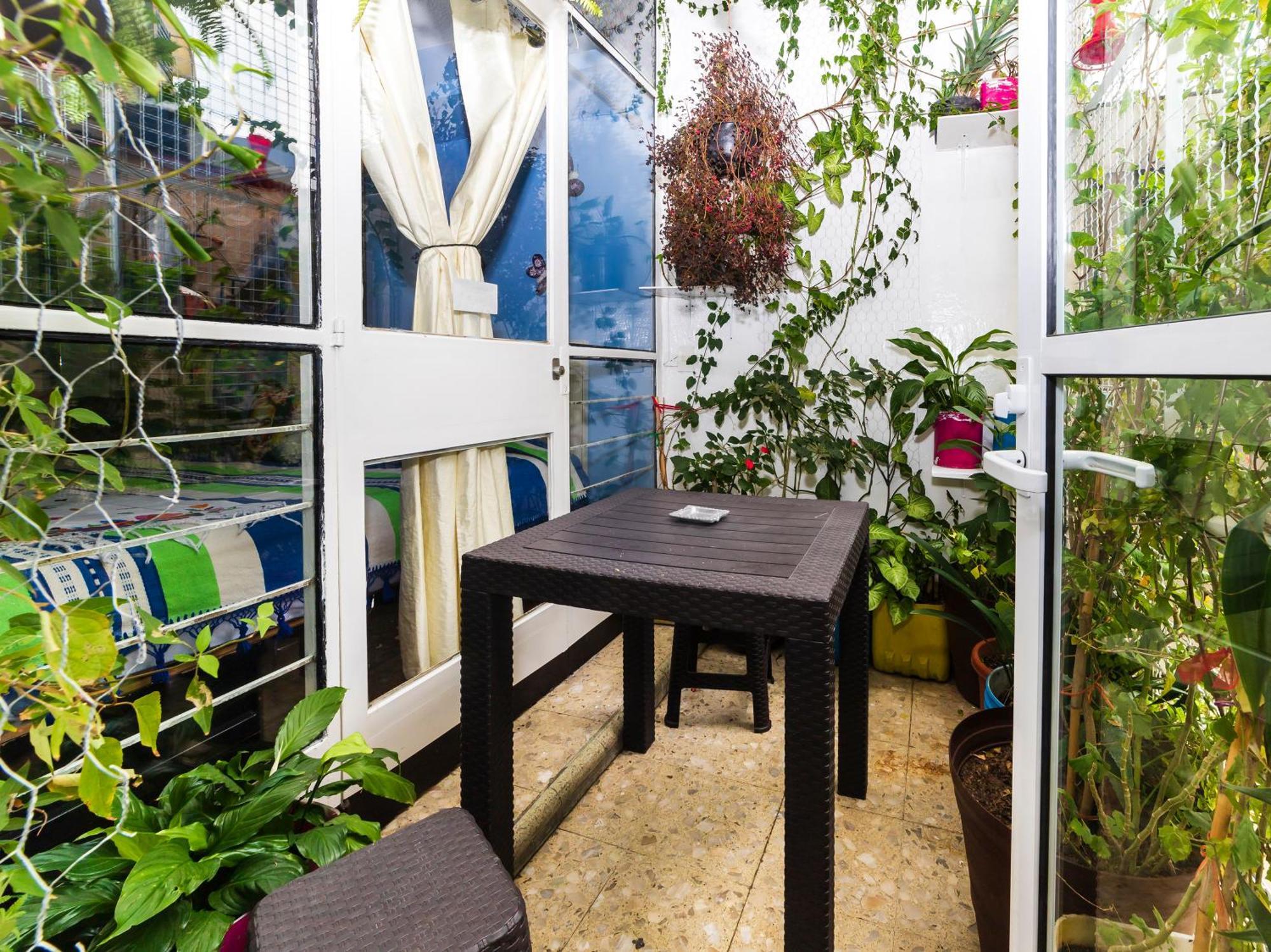 Casa Itzae B&B Polanquito Dog Friendly Mexico City Luaran gambar