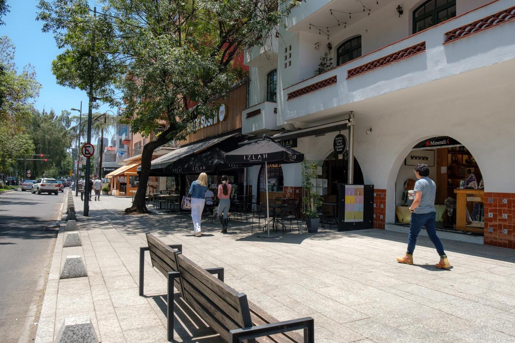 Casa Itzae B&B Polanquito Dog Friendly Mexico City Luaran gambar