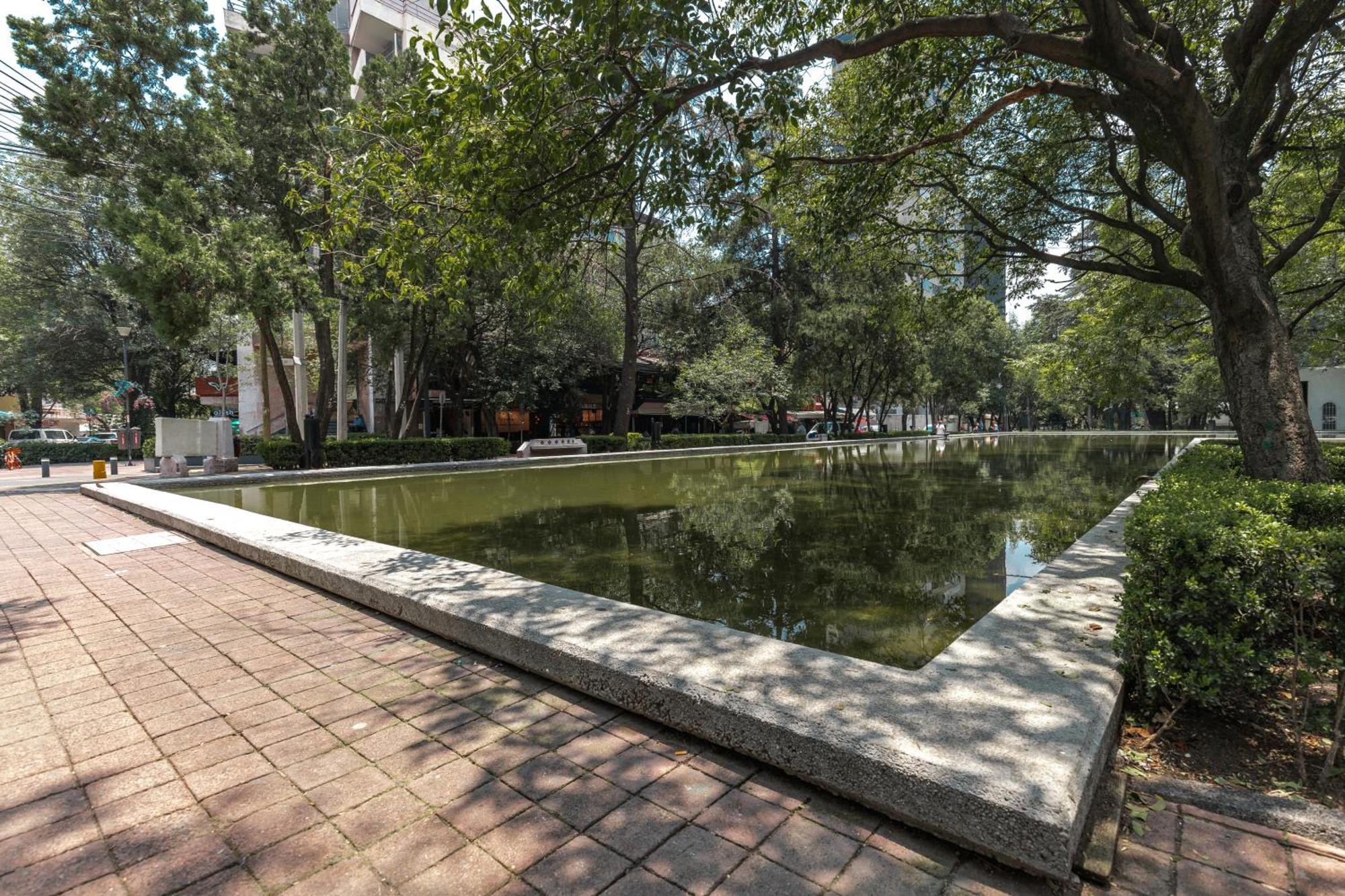 Casa Itzae B&B Polanquito Dog Friendly Mexico City Luaran gambar
