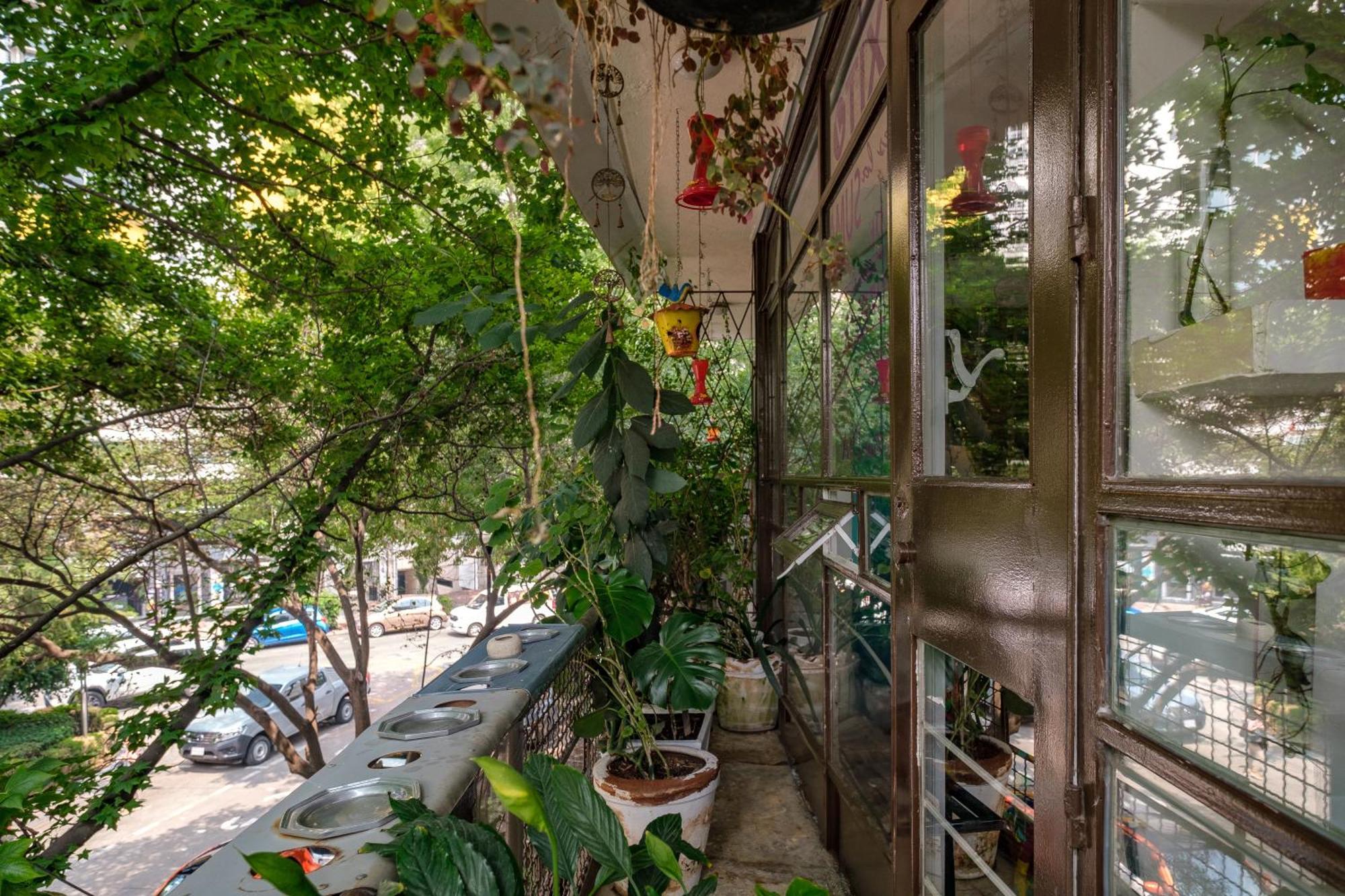 Casa Itzae B&B Polanquito Dog Friendly Mexico City Luaran gambar
