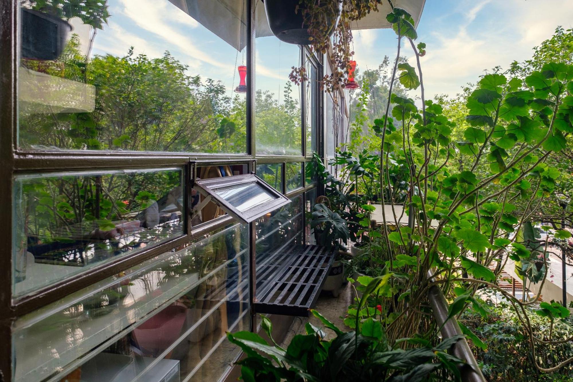 Casa Itzae B&B Polanquito Dog Friendly Mexico City Luaran gambar