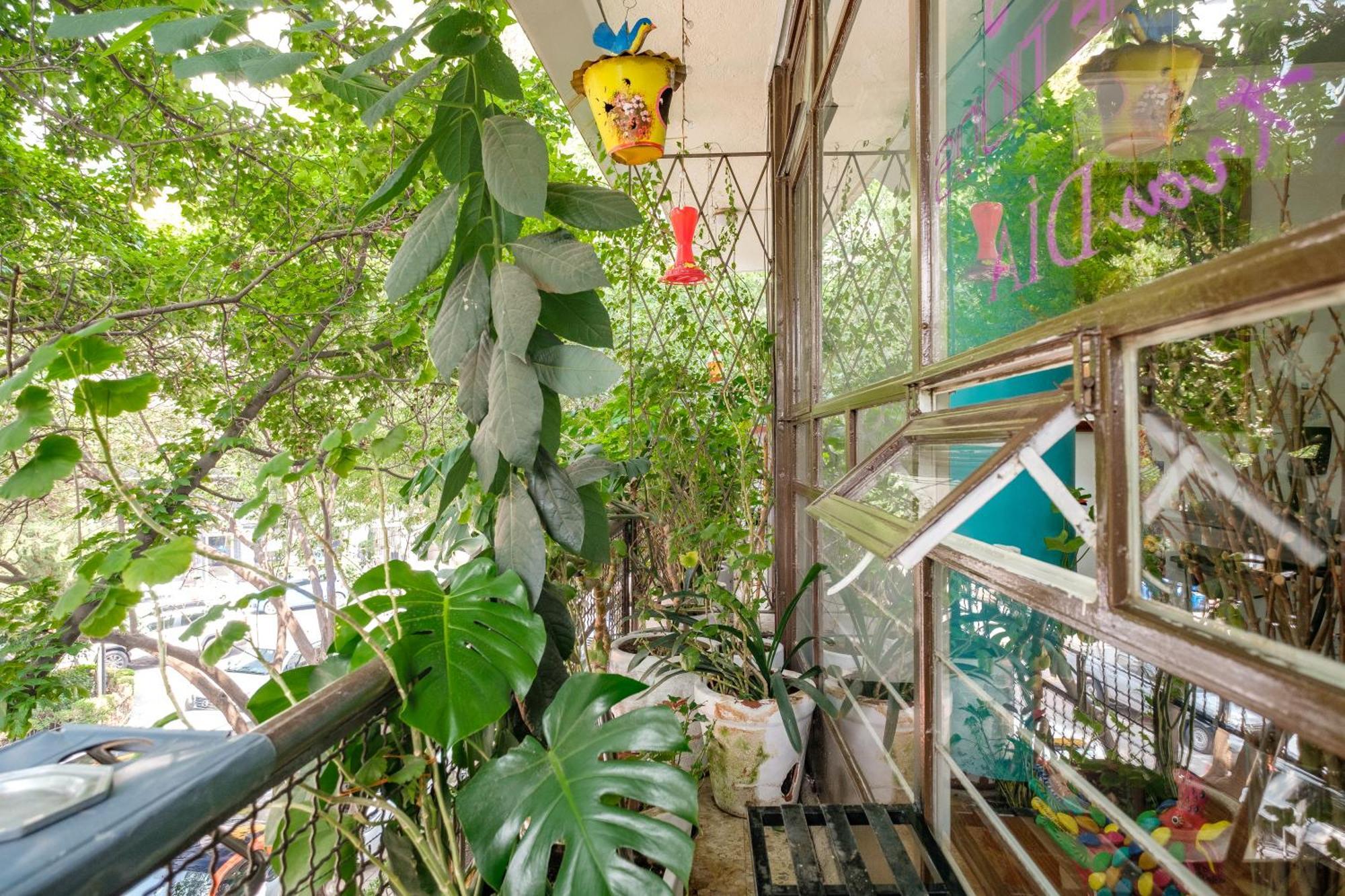 Casa Itzae B&B Polanquito Dog Friendly Mexico City Luaran gambar