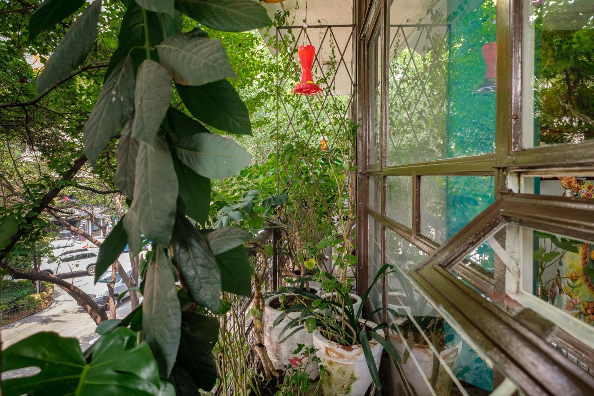 Casa Itzae B&B Polanquito Dog Friendly Mexico City Luaran gambar