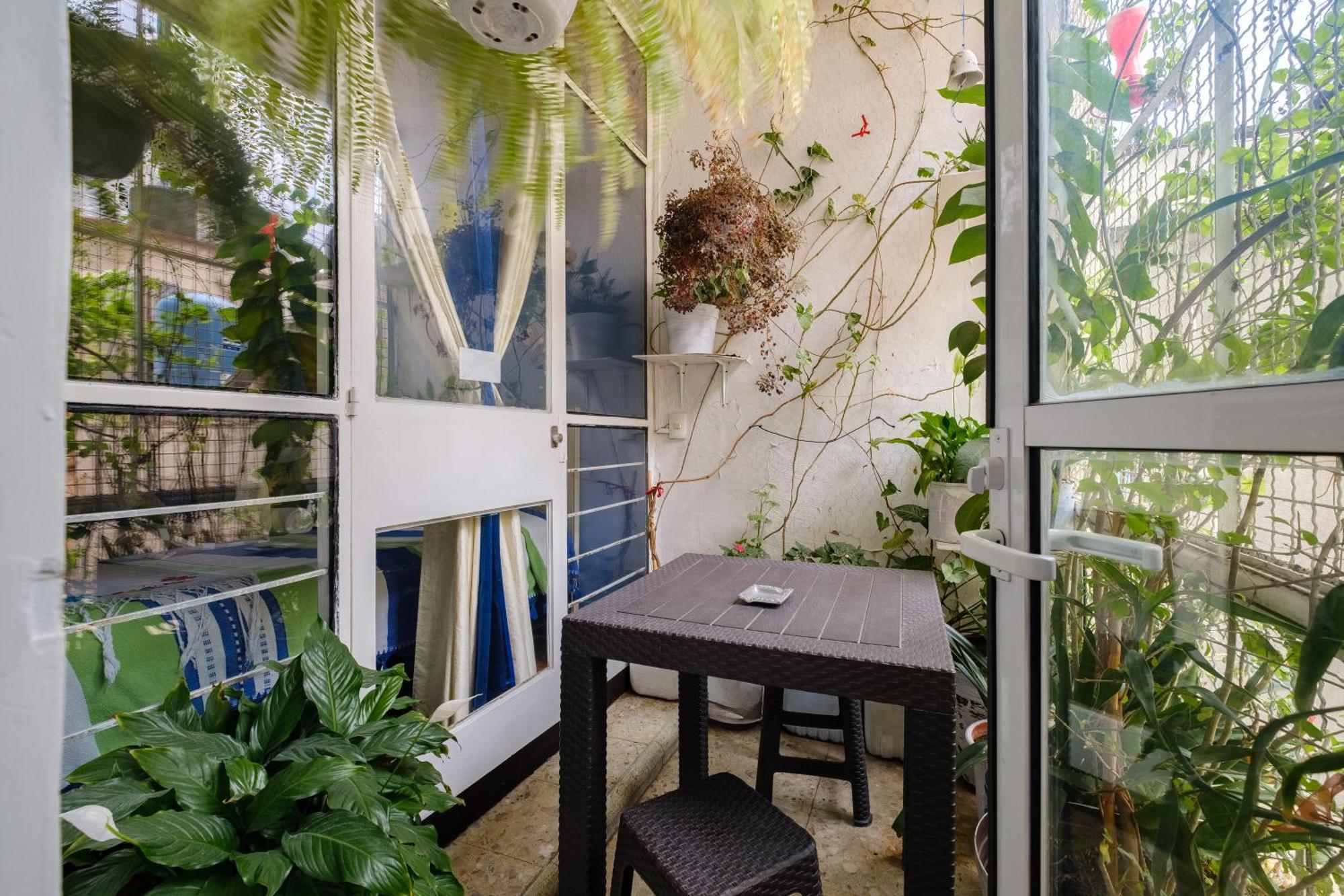 Casa Itzae B&B Polanquito Dog Friendly Mexico City Luaran gambar