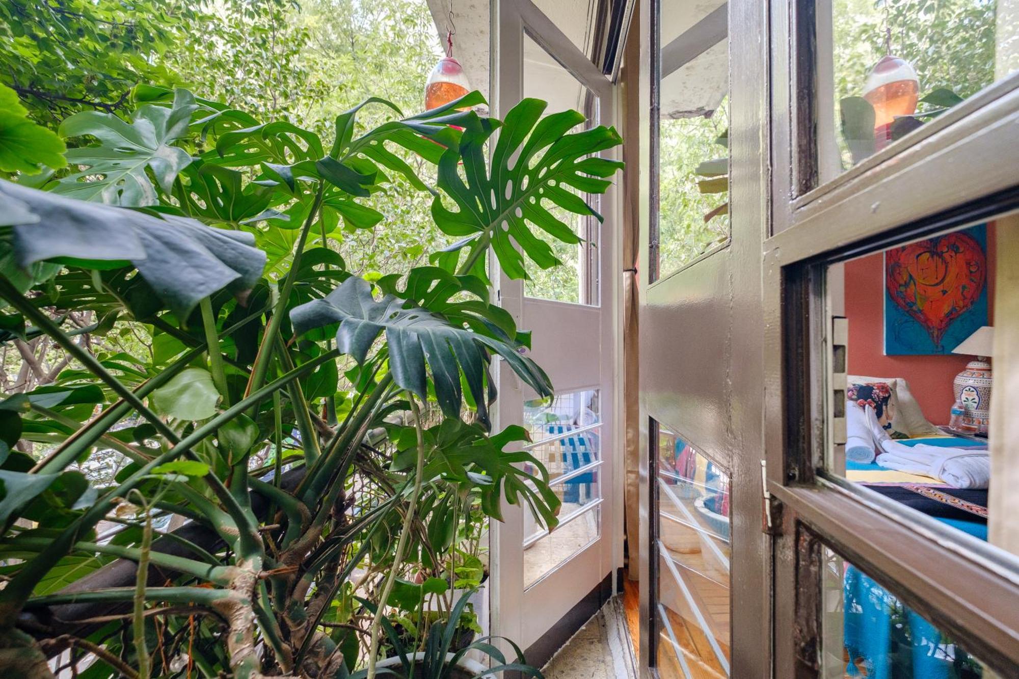 Casa Itzae B&B Polanquito Dog Friendly Mexico City Luaran gambar